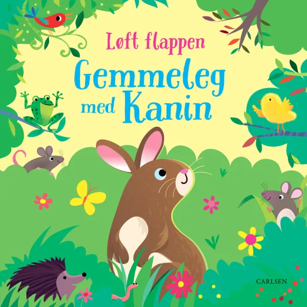 Piiloleikki kanin kanssa